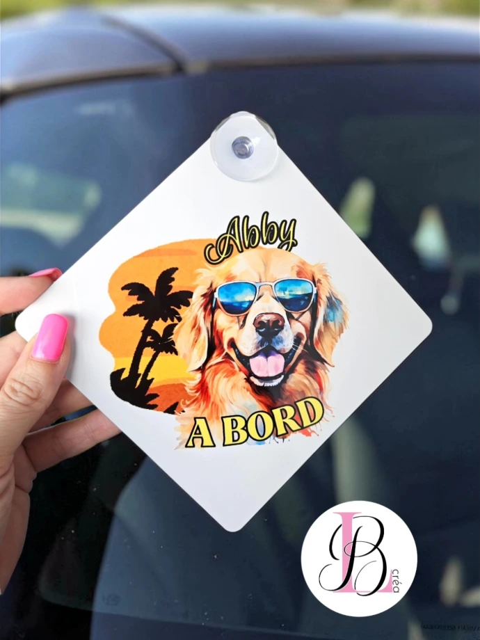 plaque ventouse voiture